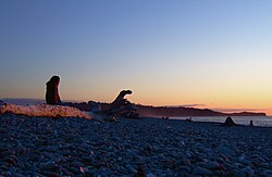 Gillespie Beach, Westland, New Zealand
